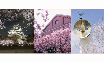 在樱花盛开的季节去日本旅行！去大阪名胜赏樱，去梅田阪急购物！